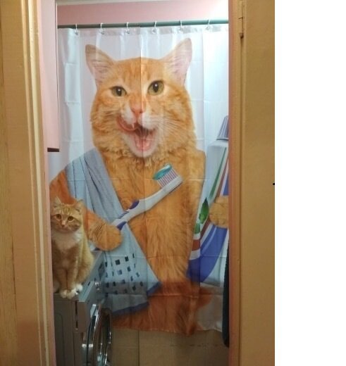 Самые упоротые новинки из Китая, от вида которых появляется легкое недоумение (21 фото) Самые упоротые новинки из Китая, от вида которых появляется легкое недоумение (21 фото)