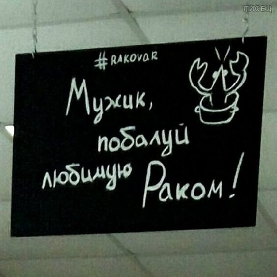 25 забавных и оригинальных надписей на штендерах, которые невозможно игнорировать (26 фото)