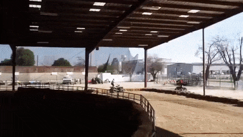 Отцовские рефлексы (14 гифок)