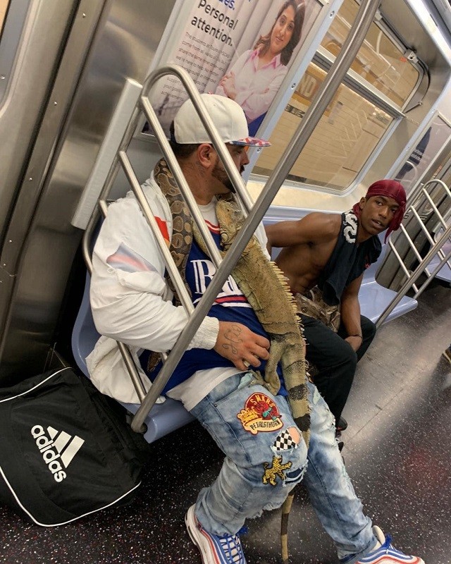 Чего только не увидишь в метро (17 фото) Чего только не увидишь в метро (17 фото)