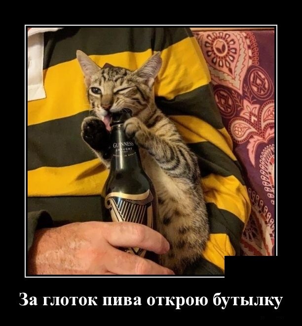 Демотиваторы 2175