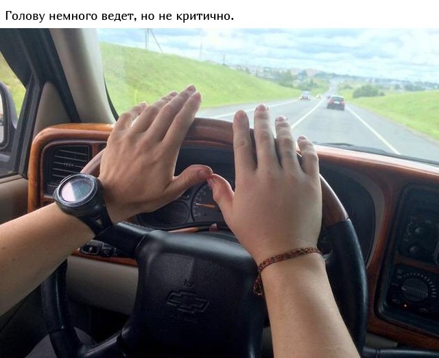 Укус гадюки из первых уст (12 фото)