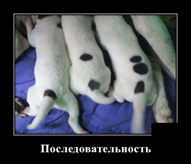 Свежие демотиваторы июля 2019 года про женщин, работу и другое Свежие демотиваторы июля 2019 года про женщин, работу и другое