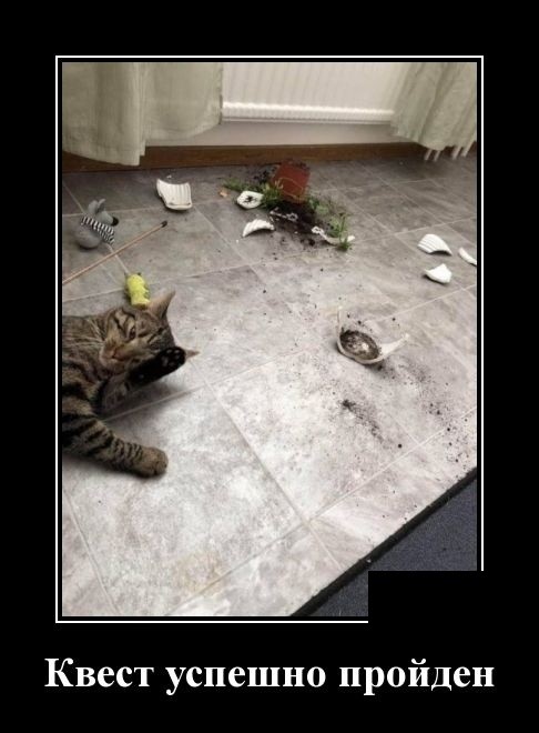 Демотиваторы 2175