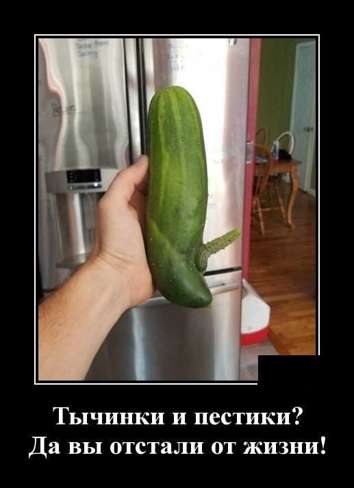 Новые юморные демотиваторы (30 демотиваторов)