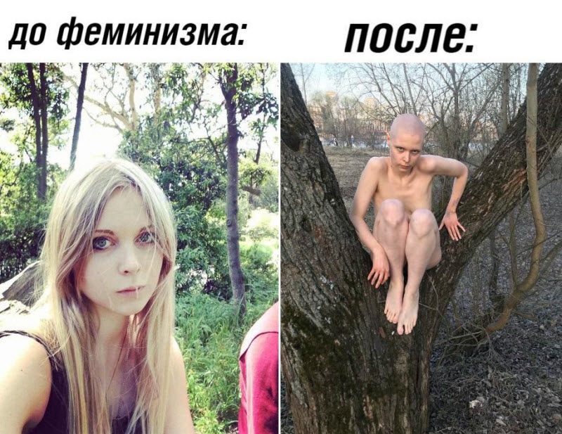 Неадекватная феминистка (5 фото) Неадекватная феминистка (5 фото)