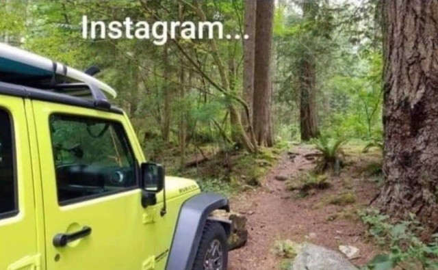 Король бездорожья в социальных сетях (2 фото)