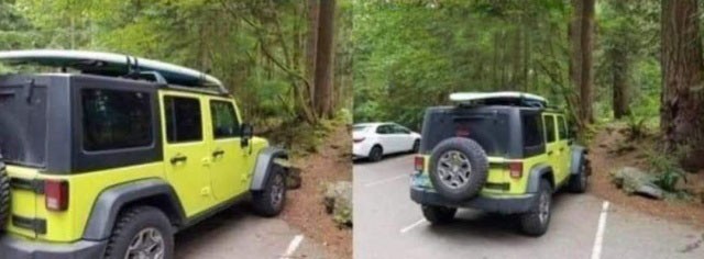 Король бездорожья в социальных сетях (2 фото)