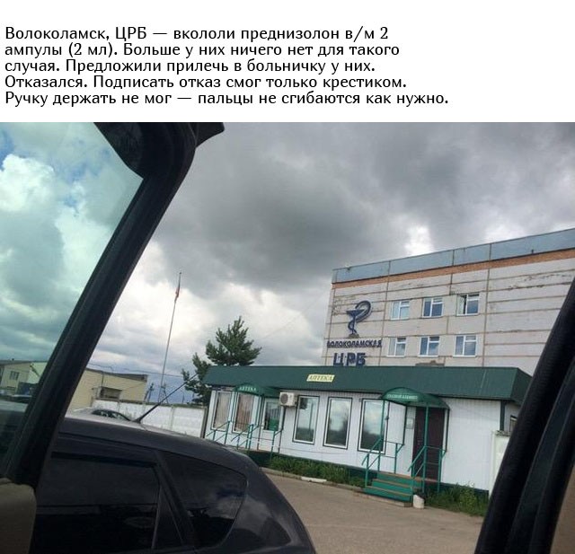 Укус гадюки из первых уст (12 фото)