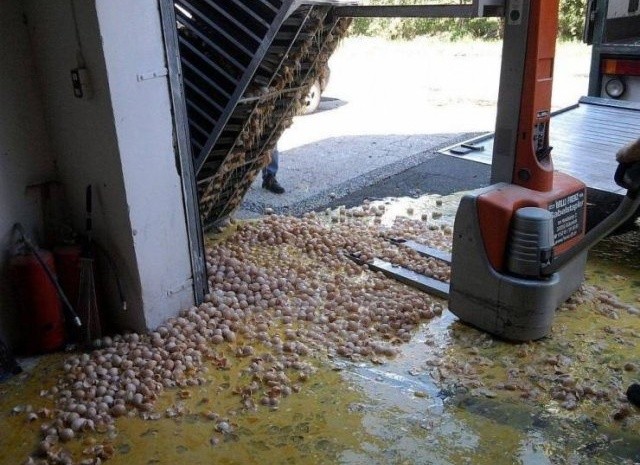 Понедельник, это ты? (4 фото)