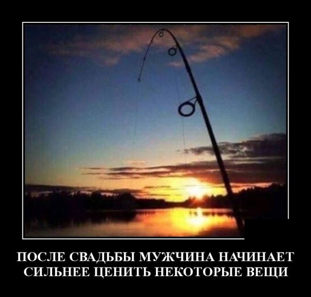 Новые юморные демотиваторы (30 демотиваторов)