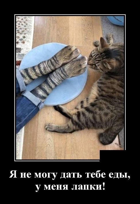 Июльские демотиваторы 2019 года - новое, смешное и свежее