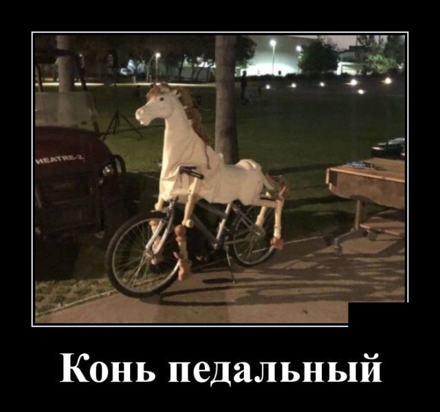 Новые юморные демотиваторы (30 демотиваторов)