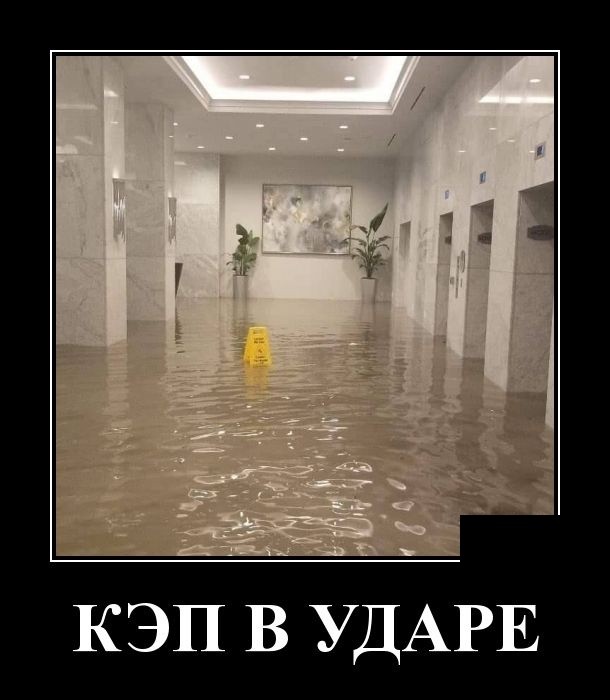 Новые юморные демотиваторы (30 демотиваторов)