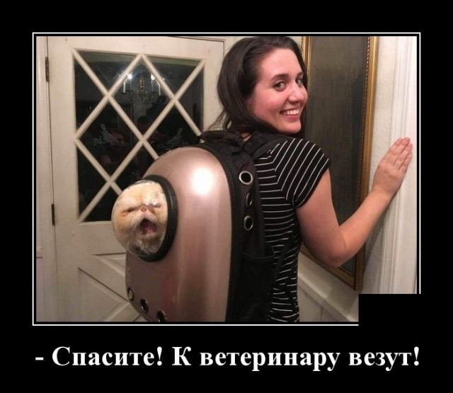 Июльские демотиваторы 2019 года - новое, смешное и свежее