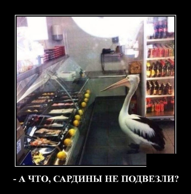 Подборка прикольных демотиваторов про нашу жизнь