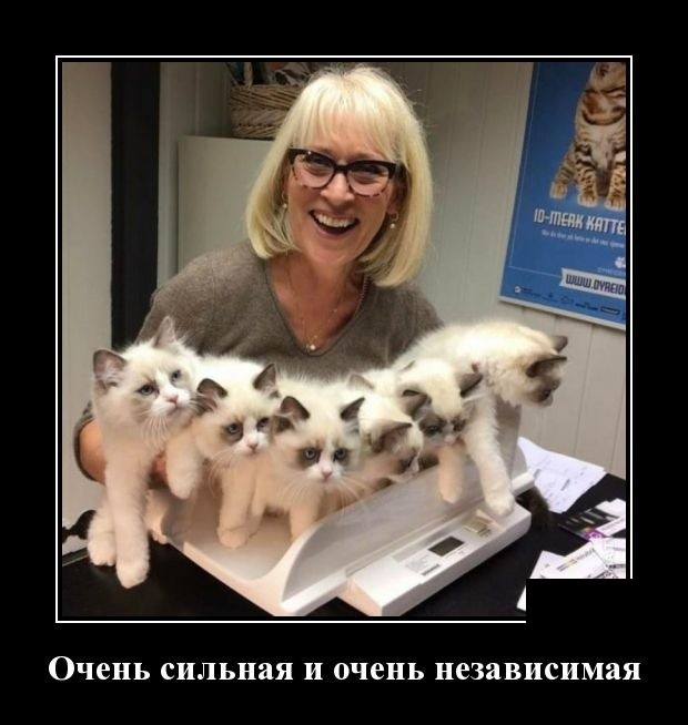 Новые юморные демотиваторы (30 демотиваторов)