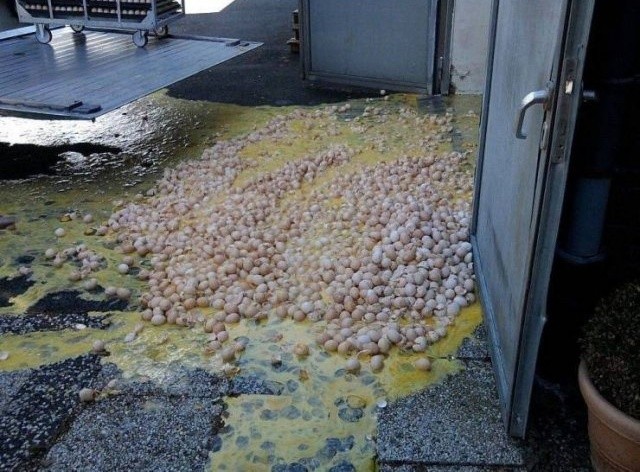 Понедельник, это ты? (4 фото)