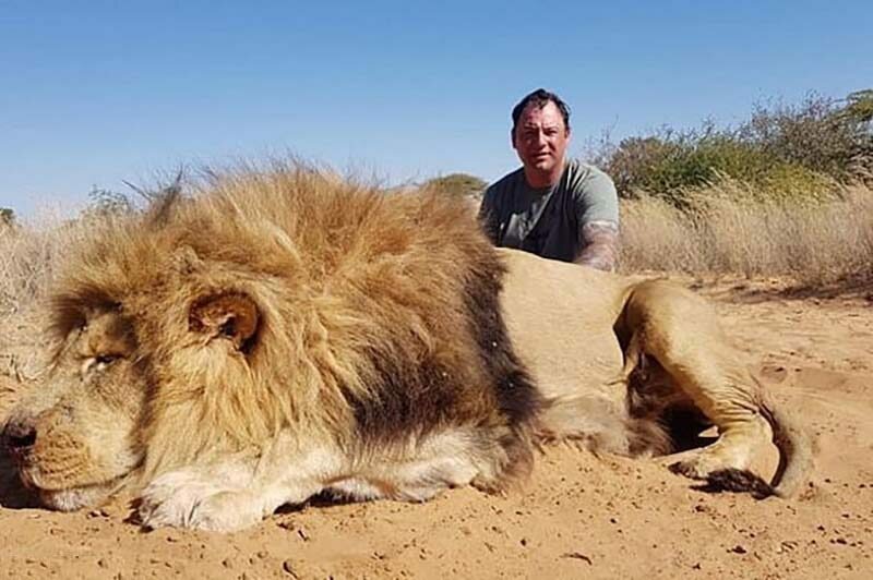 Целующиеся на фоне убитого льва канадцы разгневали защитников природы (5 фото)