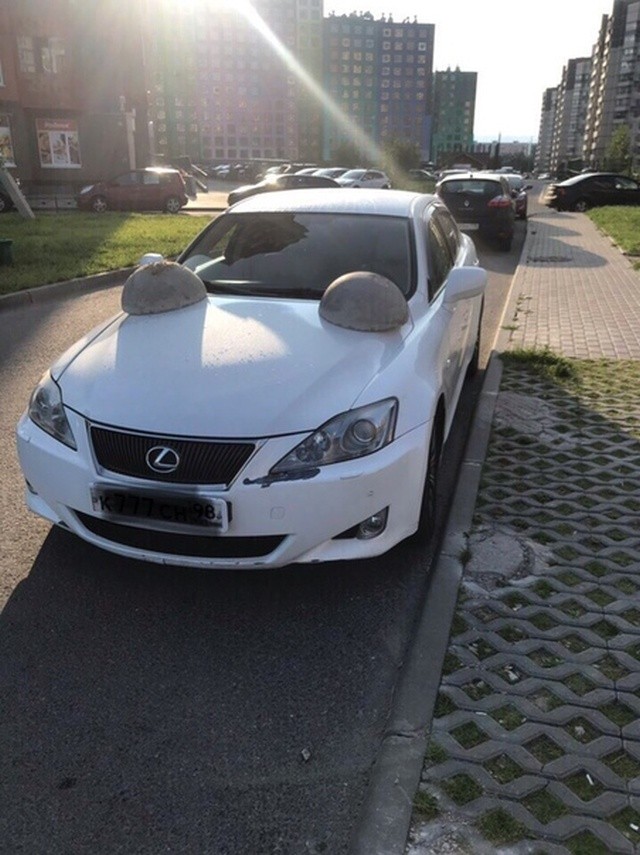 Неожиданный сюрприз для автолюбителя в Девяткино (3 фото)