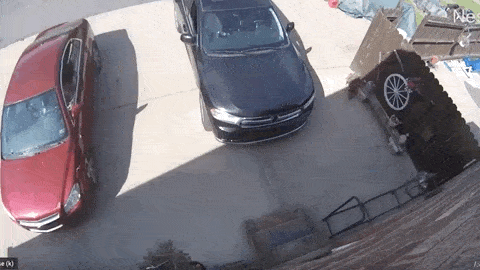 Отцовские рефлексы (14 гифок)