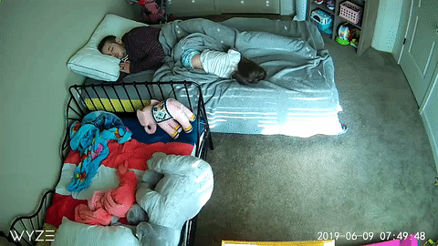 Отцовские рефлексы (14 гифок)