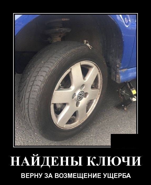 Новые демотиваторы про котов, девушек и идиотов Новые демотиваторы про котов, девушек и идиотов