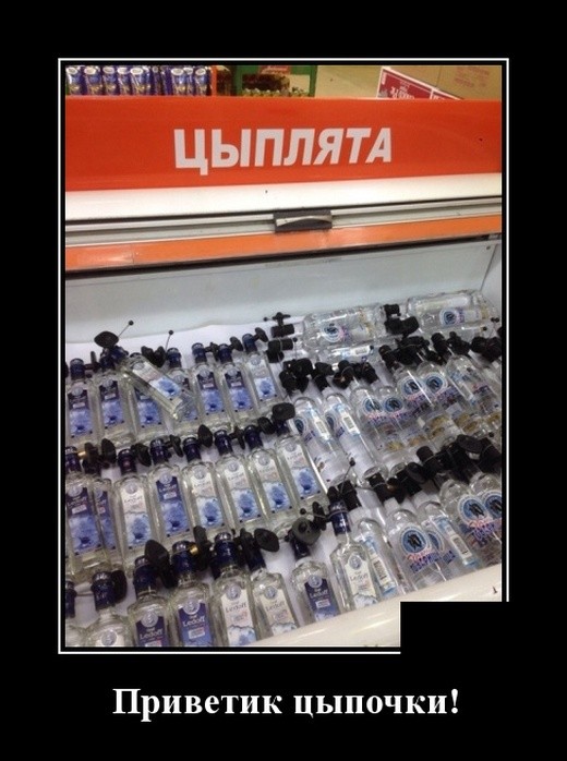 Демотиваторы 2175