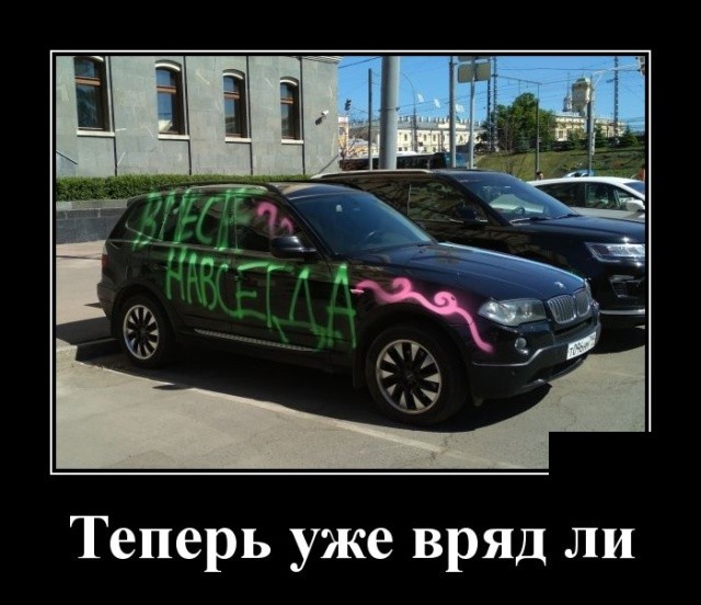Новые демотиваторы про котов, девушек и идиотов Новые демотиваторы про котов, девушек и идиотов