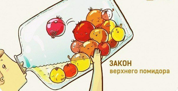 30 ироничных законов жизни (1 фото) 30 ироничных законов жизни (1 фото)