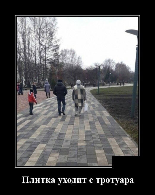 Демотиваторы 2175