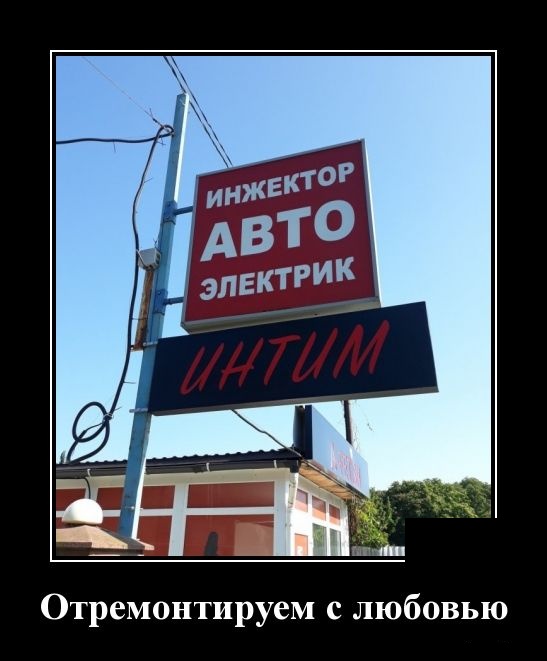 Новые демотиваторы про котов, девушек и идиотов Новые демотиваторы про котов, девушек и идиотов