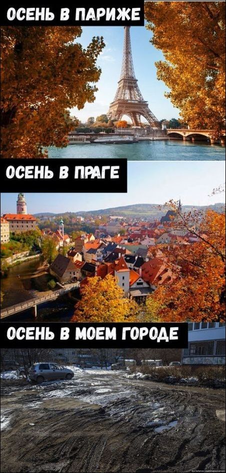 Убойные мемы и прикольные фото (30 фото)