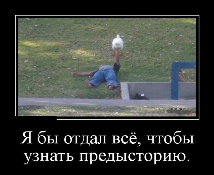 Убойные демотиваторы. Часть2 ( 25 фото) Убойные демотиваторы. Часть2 ( 25 фото)