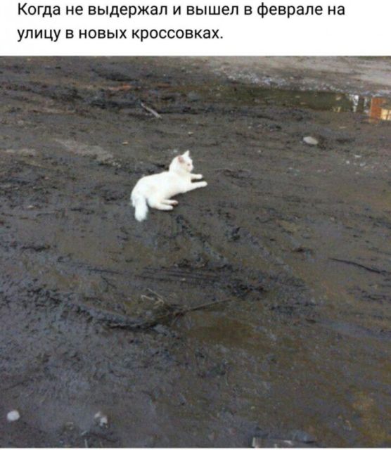 Дело было так… (25 фото)