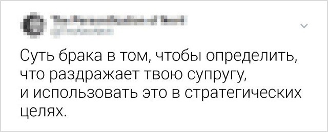 Подборка забавных твитов о семейной жизни (16 скриншотов) Подборка забавных твитов о семейной жизни (16 скриншотов)