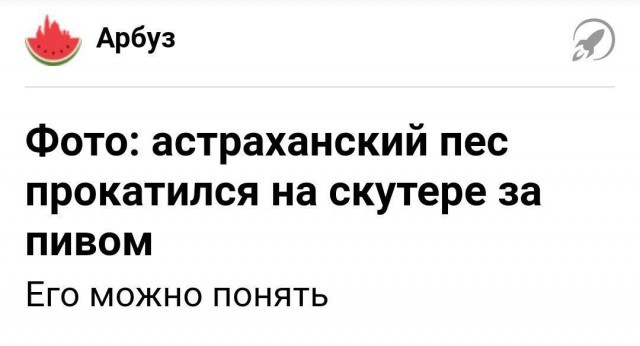 Забавные и странные заголовки, которые заставят вас улыбнуться (24 фото)