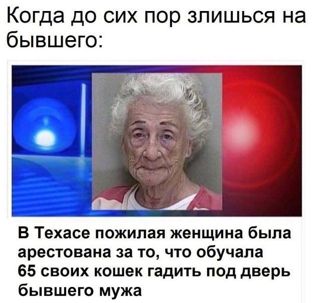 Дело было так… (25 фото)