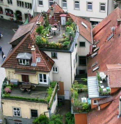 Свежая подборка прикольных мемов (33 картинки)