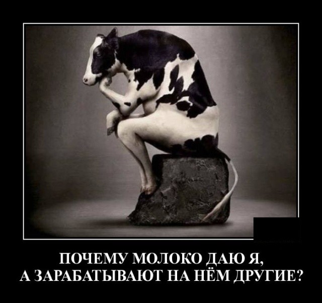 Демотиваторы про животных: котов, медведей и не только Демотиваторы про животных: котов, медведей и не только