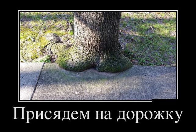 Угарные демотиваторы (29 фото)