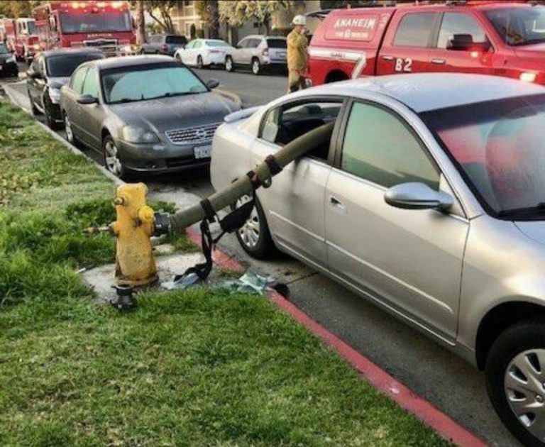 Бывают в жизни огорчения (39 фото)