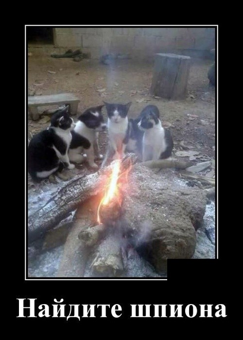 Забавные демотиваторы июля 2019 года Забавные демотиваторы июля 2019 года