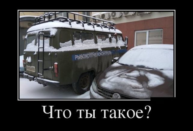 Новые и свежие демотиваторы, август 2019г. (22 фото)