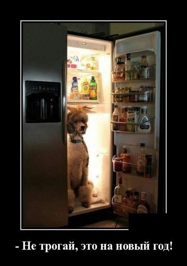 Прикольные демотиваторы июля про нашу жизнь