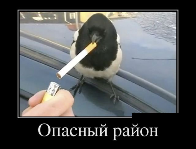 Прикольные картинки демотиваторы (30 фото) Прикольные картинки демотиваторы (30 фото)