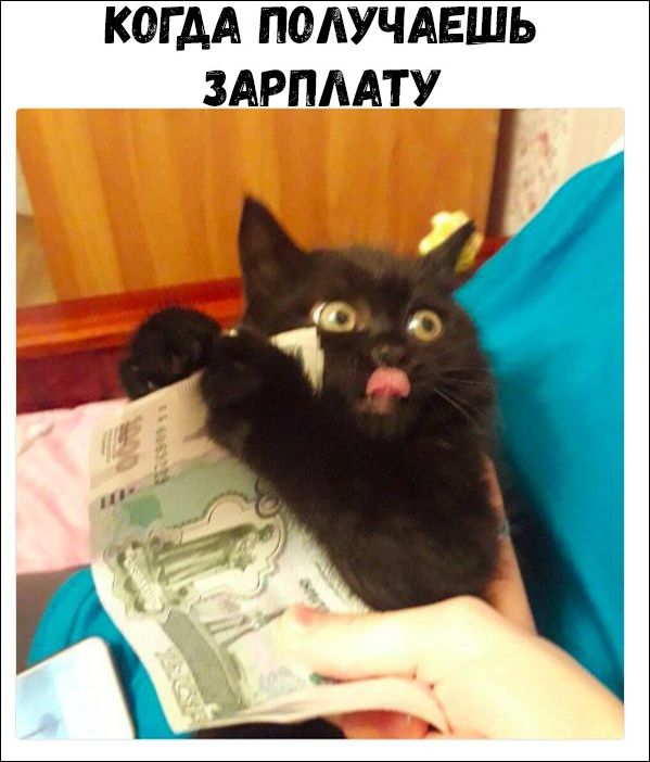 Убойные мемы и прикольные фото (30 фото)