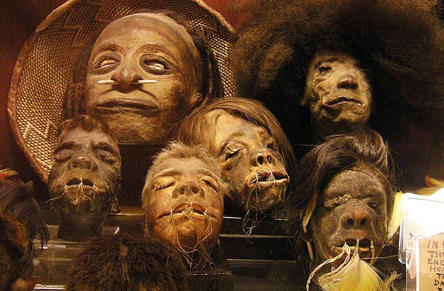 Самые неожиданные находки таможенников (9 фото) Самые неожиданные находки таможенников (9 фото)