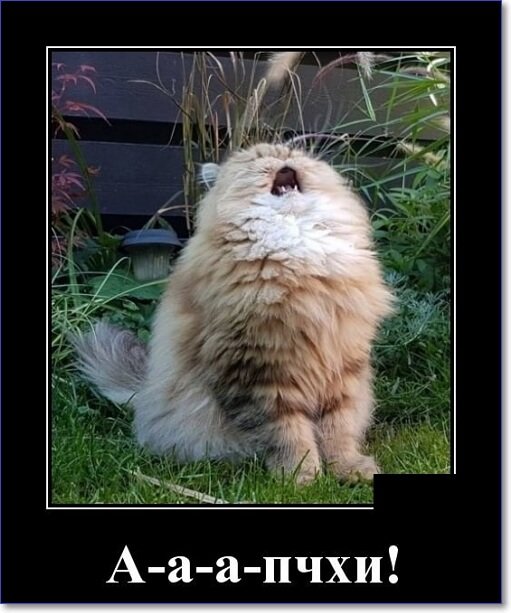 Новые демотиваторы 2019 года