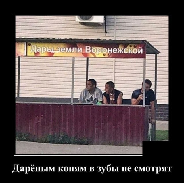 Демотиваторы про девушек, детей и чудаков